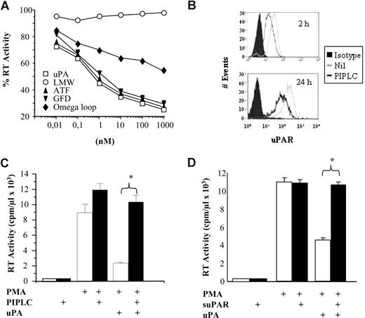 Figure 1. UPA inhibits HIV expression in chronically infected U1 cells via binding of its ATF domain to uPAR. (A) U1 cells were preincubated with different concentrations of either uPA or peptides representing the low molecular weight (LMW), ATF, growth factor domain (GFD), or omega loop components of uPA. Cells were then stimulated with PMA and followed for virus expression in culture supernatants. All peptides significantly inhibited (P < .001) virus expression in the same range of concentrations, except for LMW, which was ineffective at all tested concentrations. (B) U1 cells were analyzed for uPAR expression 2 and 24 hours after incubation with PIPLC (10 U/mL). Down-modulation of uPAR expression was clearly detectable at both time points. Geometric mean fluorescence intensities (MFI) are shown: isotype, MFI: 4; Nil, unstimulated cells, MFI: 31; PIPLC, MFI: 14. (C) U1 cells were incubated with PIPLC for 2 hours and then stimulated with PMA in the presence or absence of uPA (10 nM). The RT activity levels were measured in the culture supernatants at the peak of virus expression (day 4 after stimulation). PIPLC abolished the inhibitory effect of uPA on virus expression without affecting the inductive effect of PMA (*P < .001). (D) U1 cells were stimulated with PMA in the presence or absence of suPAR and uPA, and RT activity was determined in the culture supernatants after 3 days of culture (*P < .001);a similar pattern of virus expression was observed even at days 2 and 4 of culture (data not shown). The error bars indicate the SD of duplicate samples. All the described experiments were performed in duplicate wells and repeated 3 times, and provided identical results. cpm indicates counts per minute.