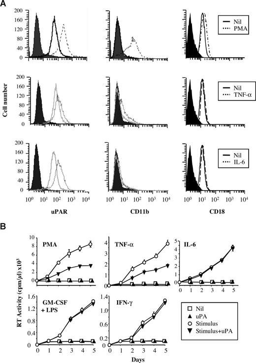 Figure 3. Induction of CD11b expression in U1 cells and uPA-mediated inhibition of HIV-1 expression. (A) U1 cells were gated based on their light scatter and analyzed for both uPAR (R4 mAb) and CD11b (αM44 mAb) expression 20 hours after stimulation with PMA, TNF-α, or IL-6; the integrin β2 chain CD18 is constitutively expressed on U1 cells (Table 1). All stimuli up-regulated the levels of uPAR on the cell surface, but only PMA and, to a lesser extent, TNF-α, promoted the expression of CD11b on U1 cells. (B) uPA inhibits HIV expression in U1 cells stimulated with PMA and TNF-α, but not with IL-6, IFN-γ, or GM-CSF plus LPS. The results were obtained from a single experiment representative or 5 or more independently performed experiments. Error bars indicate the SD of duplicate samples; and cpm, counts per minute.