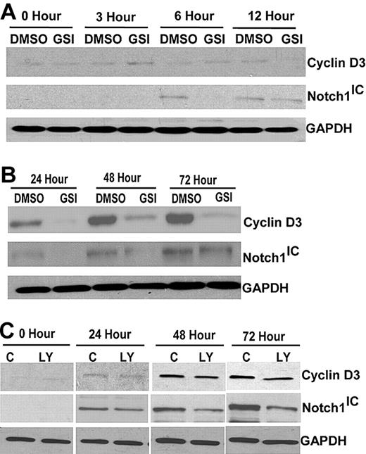 Figure 1. Cyclin D3 expression is dependent on Notch signaling in CD4+ T cells. (A) Whole cell lysates of CD4+ T cells were analyzed by immunoblotting for cyclin D3 or Notch1IC expression. CD4+ T cells were stimulated with 1 μg/mL anti-CD3ϵ and 1 μg/mL anti-CD28 for indicated time periods (0, 3, 6, and 12 hours) in the presence of GSI (IL-CHO, 50 μm) or DMSO (0.1%). (B) Later time points (24, 48, and 72 hours) after 1 μg/mL anti-CD3ϵ and 1 μg/mL anti-CD28 stimulation were analyzed for differences in cyclin D3 and Notch1IC expression with or without GSI treatment. (C) Whole cell lysates from stimulated CD4+ T cells (for 24, 48, and 72 hours) that were isolated from C57BL/6 mice treated in vivo with GSI for 14 days were analyzed for cyclin D3 and Notch1IC. GAPDH was used as a loading control. LY indicates GSI in rodent chow; and C, control rodent chow.