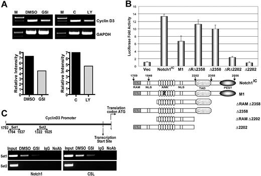 Figure 2. Expression from cyclin D3 promoter is regulated by Notch signaling. (A) CD4+ T cells after in vitro GSI pretreatment and from mice treated in vivo with GSI were stimulated with anti-CD3ϵ + anti-CD28 for 24 hours. Expression of cyclin D3 transcript was determined by RT-PCR after isolation of RNA. (B) Cyclin D3 luciferase reporter plasmid was transiently cotransfected with either 0.1 μg Notch1IC expression plasmid or 0.1 μg of indicated Notch1IC mutants53 into 293T cells. Transfected cells were harvested 48 hours later for dual luciferase assay. The relative luciferase activity was calculated by normalizing against Renilla luciferase (pRL-CMV) activity that was used as an internal control. Values shown are representative of 3 separate experiments performed in triplicate. (C) ChIP of stimulated CD4+ T cells with or without GSI treatment. Anti-Notch1 (left panels) and anti-CSL (right panels) were used to precipitate protein complexes bound to DNA. Rabbit isotype control IgG was used as a negative control. Primers sets 1 (top panels) and 2 (bottom panels) were used in PCR to determine whether Notch1 and CSL are recruited to a specific region on cyclin D3 promoter.