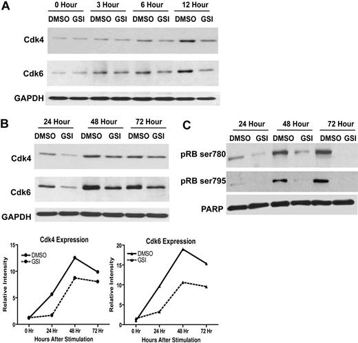 Figure 5. CDK4 and CDK6 expression and pRb phosphorylation is dependent on Notch signaling in CD4+ T cells. (A) Whole cell lysate of CD4+ T cells that were stimulated as described before for indicated time points (0, 3, 6, and 12 hours) in the presence (in vitro) of GSI or DMSO were analyzed by immunoblotting for differences in CDK4 and CDK6 expression. (B) Whole cell lysates of CD4+ T cells that had been stimulated, as described, for indicated time points (24, 48, and 72 hours) in the presence (in vitro) of GSI or DMSO were analyzed by immunoblotting for differences in CDK4 and CDK6 expression. Changes in temporal expression of CDK4 and CDK6 after stimulation are represented graphically in lower panels. (C) Nuclear lysates from in vitro GSI- or DMSO-treated CD4+ T cells that were stimulated for 24, 48, and 72 hours were analyzed by immunoblotting for differences in pRb phosphorylation at residues Ser780 (top panel) and Ser795 (bottom panel). The nuclear protein PARP was used as a loading control.