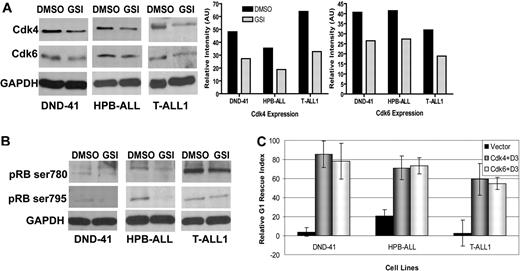 Figure 6. CDK4 and CDK6 expression and pRb phosphorylation are targets of Notch signaling in human T-ALL cell lines. (A) Whole cell extracts were prepared from human T-ALL cell lines after 7 days of in vitro GSI or DMSO treatment to analyze differences in CDK4 (top) and CDK6 expression (middle). GAPDH (bottom) was used as a loading control. Band intensities of protein expression were normalized to GAPDH and represented graphically using ImageJ software, version 1.31, supported by Wayne Rasband (NIH). (B) Immunoblot of whole-cell lysates prepared from human T-ALL cell lines that were treated with GSI or DMSO for 7 days to analyze differences in pRb phosphorylation, pRB Ser780 (top panels), pRb Ser795 (middle panels), and GAPDH (bottom panels; loading control). (C) Graphical representation of relative G1 rescue indices. Human T-ALL cell lines DND-41, HPB-ALL, and T-ALL1 were retrovirally infected either with MSCV-IRES-YFP and MSCV-IRES-DsRed II (vector, black bar), MSCV-cyclin D3-IRES-YFP and MSCV-CDK4-IRES-DSRed (CDK4 + D3, gray bar), or MSCV-cyclin D3-IRES-YFP and MSCV-CDK6-IRES-DSRed (CDK6 + D3, white bar). The infected cells were sorted for enrichment and treated with DMSO or GSI for 7 days. Cell-cycle analysis was performed to determine the percentage of cells arrested in G1 with GSI treatment compared with DMSO. Relative G1 rescue indices were calculated for each cell line after normalizing against the GSI-induced G1 arrest in the uninfected cell line.