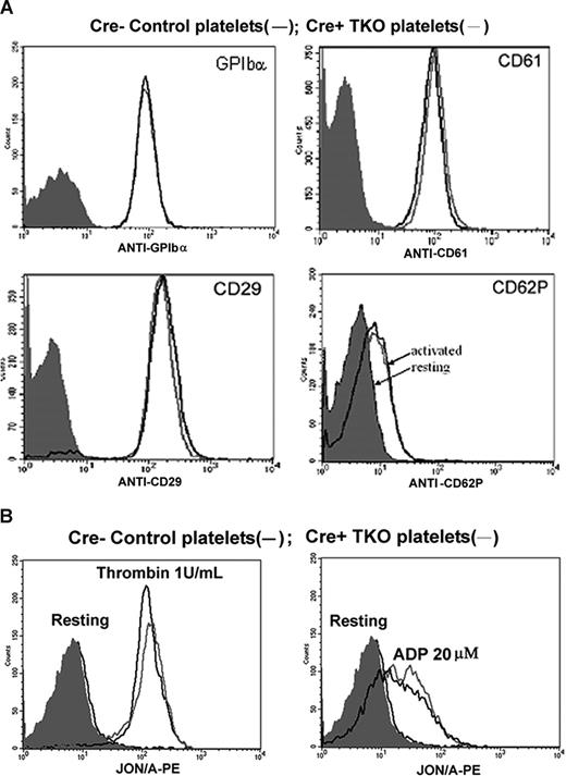 Figure 2. Platelet surface expression of adhesion molecules and integrin activation is similar between Cre+ TKO and Cre− control platelets. (A) Platelet surface expression of adhesion molecules was detected by flow cytometry. GPIbα, β3 integrin (CD61) and β1 integrin (CD29) on Cre+ TKO platelets (gray line) and Cre− control platelets (black line) were analyzed. Negative controls are shown as filled peak. For P-selectin (CD62P) expression, resting platelets (filled peak) or thrombin (1 U/mL)–stimulated Cre+ TKO (gray line) and Cre− (black line) platelets were analyzed. No difference in surface expression was observed. (B) β3 Integrin activation on Cre+ TKO platelets (gray line) and Cre− control platelets (black line) by thrombin (1 U/mL) and ADP (20 μM) were tested with the use of JON/A-PE antibody. There were no detectible differences in β3 integrin activation between the 2 groups of platelets. Representative data are shown from 6 independent experiments.