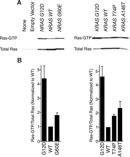 Figure 1. RAF-1 pull-down assay reveals that novel mutations confer increased Ras-GTP. (A) Wild-type NRAS and KRAS as well as each mutant were expressed in HEK 293T/17 cells for 48 hours. Whole-cell extracts were incubated with RAF-1 peptides conjugated with agarose beads for precipitation of Ras-GTP. Precipitates were subjected to SDS-PAGE analysis and immunoblotted with an antibody specific for total Ras. (B) Densitometry was performed on blots in panel A. Densitometric units for Ras-GTP were normalized to their respective total Ras counterparts, and all Ras-GTP/total Ras ratios were divided by the ratio for WT N-Ras or K-Ras. Values represent mean plus or minus SEM (n = 3).