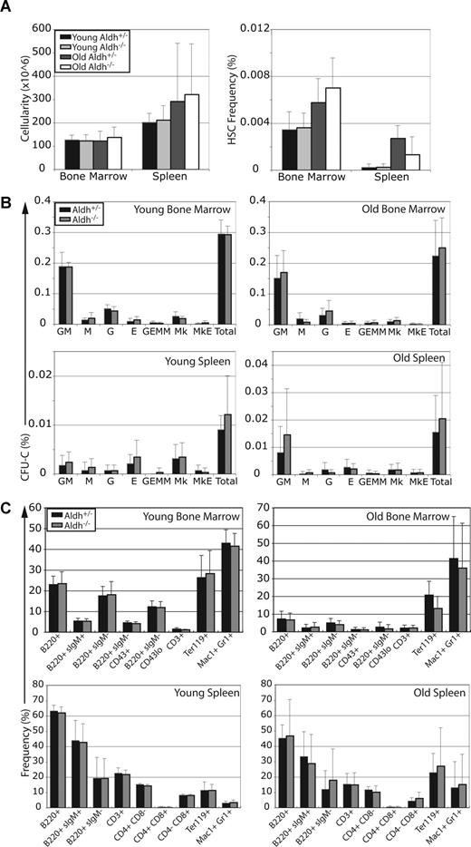 Figure 3. Aldh1a1 is not required for normal hematopoiesis. (A) Cellularity (left) and HSC frequency (right) were determined in young (2-3 months) and old (21-27 months) adult Aldh1a1+/− and Aldh1a1−/− mice (n = 6-14 mice per treatment in at least 6 independent experiments). (B) The frequency of colony-forming progenitors in bone marrow (top row) and spleen (second row) of young (left column) and old adult (right column) Aldh1a1+/− and Aldh1a1−/− mice (n = 6-7 mice per treatment in 5 independent experiments). (C) The frequency of various subsets of B (B220+), T (CD3+), erythroid (Ter119+), and myeloid (Mac-1+Gr-1+) lineage cells in the bone marrow (top row) and spleen (bottom row) from young (left column) and old (right column) Aldh1a1+/− and Aldh1a1−/− mice (n = 5 mice per treatment in 5 independent experiments). No significant differences were observed between Aldh1a1−/− and control mice. Error bars represent SD.
