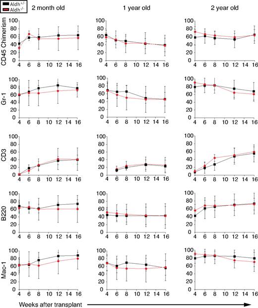 Figure 4. Aldh1a1 is not required for HSC maintenance or function. Irradiated CD45.1+ recipient mice were competitively reconstituted with 3 × 105 whole bone marrow cells from 2-month-old, 13-month-old, or 26-month-old Aldh1a1+/− (black lines) or Aldh1a1−/− (red lines) CD45.2 donor cells along with a radioprotective dose of 3 × 105 CD45.1+ bone marrow cells. Similar levels of long-term multilineage reconstitution were observed at all ages from Aldh1a1+/− and Aldh1a1−/− cells. At least 3 independent experiments were performed at each age, from which one representative experiment is shown. Error bars represent SD.