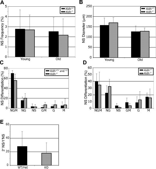 Figure 7. Aldh1a1 is not required for peripheral nervous system stem cell maintenance or function. Outer muscle/plexus layer cells from the guts of young (2-3 months) and old (24-27 months) Aldh1a1+/− () and Aldh1a1−/− () mice were cultured. Aldh1a1 deficiency did not affect the frequency of neurospheres (A), neurosphere diameter after 9 to 11 days in culture (B), neurosphere differentiation (C,D), or the capacity of primary neurospheres to form multipotent secondary neurospheres upon subcloning (E). Colonies were assessed for the presence of neurons (N), glia (G), and myofibroblasts (M). All data represent a total of 3 to 8 mice per treatment, in at least 3 independent experiments. Error bars represent SD.