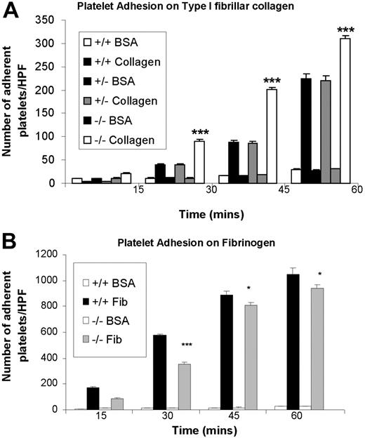 Figure 2. ceacam1−/− platelets demonstrate increased adhesion on immobilized type I fibrillar collagen. (A) Wild-type, ceacam1+/−, and ceacam1−/− platelets were allowed to adhere to type I fibrillar collagen (50 μg/mL) in the absence of magnesium, or to plates coated with bovine serum albumin (50 μg/mL) for 15, 30, 45, or 60 minutes at 37°C. After removal of nonadherent platelets, adherent platelets were measured as described in “Methods.” Each assay was performed in triplicate and is representative of 3 independent experiments. Each data point represents platelet adhesion per high-powered field and expressed as the mean plus or minus SEM. Note that wild-type, ceacam1+/−, and ceacam1−/− platelets bound to a similar extent on BSA-coated platelets, where at all time points, ceacam1−/− platelets showed higher levels of adhesion to type I fibrillar collagen than did wild-type and ceacam1+/− platelets (***P < .005; n = 3). (B) Platelet adhesion on fibrinogen (50 μg/mL) was assessed for wild-type, ceacam1+/−, and ceacam1−/− platelets at 15, 30, 45, and 60 minutes at 37°C, as described in panel A.