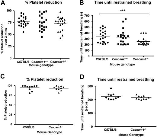 Figure 7. ceacam1−/− mice are more susceptible to type I collagen–induced pulmonary thromboembolism. (A) The percent reduction in platelet count over 3 minutes for wild-type (●), ceacam1+/− (■), and ceacam1−/− (▴) mice after intravenous injection of 350 μg/kg type I fibrillar collagen was determined. Note that the mice of each genotype showed a similar reduction in platelet count over time (77.24 ± 2.25% vs 73.49 ± 3.16% vs 74.21 ± 3.51%, respectively; P > .05; n = 20 mice/group). (B) The time until restrained breathing, quantified by a breathing interval of 10 seconds, for wild-type (●), ceacam1+/− (■), and ceacam1−/− (▴) mice after intravenous injection of 350 μg/kg of type I fibrillar collagen. Compared with the wild-type and ceacam1+/− mice, the ceacam1−/− mice showed greater susceptibility to type I collagen-induced pulmonary thromboembolism (343.5 ± 23.7 vs 327.0 ± 28.3 vs 252.1 ± 15.4 seconds, respectively; **P < .001; n = 20 mice/group). (C) The percent reduction in platelet count over 3 minutes for wild-type (●) and ceacam1−/− (▴) mice after intravenous injection of 0.200 μL/g tissue thromboplastin Thromborel S was determined. Note that wild-type and ceacam1−/− mice showed a similar reduction in platelet count over time (94.30 ± 2.16% vs 93.22 ± 1.76%, respectively; P > .05; n = 10 mice/group). (D) The time until restrained breathing, quantified by a breathing interval of 10 seconds, for wild-type (●) and ceacam1−/− (▴) mice after intravenous injection of 0.200 μL/g tissue thromboplastin Thromborel S was determined. Note that wild-type control mice and ceacam1−/− mice showed similar susceptibility to tissue thromboplastin induced pulmonary thromboembolism (223.8 ± 8.0 vs 214.2 ± 4.1 seconds; P > .05; n = 10 mice/group).