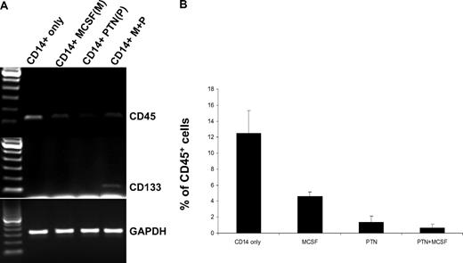 Figure 4. CD133 and CD45 expression in CD14+ cells alone or treated with PTN, M-CSF, or the combination of both cytokines for 7 days. (A) RT-PCR analysis of CD133 and CD45 gene expression in CD14+ cells alone or treated with PTN, M-CSF, or the combination of these cytokines. (B) Flow cytometric analysis of CD45 expression on CD14+ cells following treatment with no treatment, PTN, M-CSF, or the combination of both cytokines. The proportion of cells expressing CD45 is shown. Each experiment was performed in triplicate and error bars represent multiple assays.