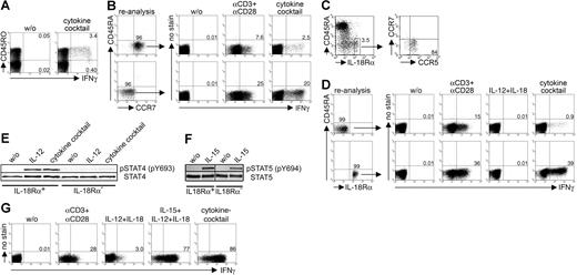 Figure 2. Cytokine-induced IFN-γ secretion is restricted to CCR7−CCR5+IL-18Rα+ effector-memory Th cells coexpressing functional IL-12 receptors. (A) Correlation of intracellular IFN-γ expression with CD45RO expression in Th cells after 36 hours of stimulation with the cytokine cocktail. Shown is 1 experiment of 3. (B) Purified CCR7+ and CCR7− Th cells were stimulated for 36 hours with the cytokine cocktail or for 12 hours with αCD3 + αCD28 and assessed intracellularly for IFN-γ. One representative experiment of 3 is shown. (C) Assessment of IL-18Rα–expressing memory Th cells within PBMCs and CCR5- and CCR7-expressing cells within the IL-18Rα+ Th cell population. One experiment of 5 is shown. (D) IL-18Rα+ and IL-18Rα− Th cells were analyzed intracellularly for IFN-γ after stimulation for 36 hours with the cytokine cocktail or IL-12 + IL-18 or for 12 hours with αCD3 + αCD28. One experiment of 5 is shown. (E) Detection of phosphorylated STAT4 by immunoblotting in IL-18Rα+ and IL-18R− Th cells after 1 hour of stimulation with IL-12 or with the cytokine cocktail. One experiment of 3 is shown. (F) Detection of phosphorylated STAT5 by immunoblotting in IL-18Rα+ and IL-18R− Th cells after 1 hour of stimulation with IL-15. One representative experiment of 2 is shown. (G) Cytokine-induced IFN-γ secretion in a CMVpp65-specific Th1-cell line. CMVpp65-specific Th1 cells were restimulated for 12 hours with the indicated stimuli and assessed intracellularly for IFN-γ expression. One of 2 independent experiments is shown.