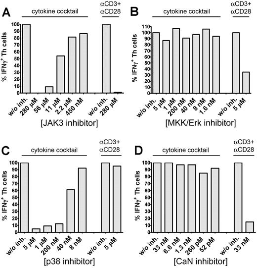 Figure 3. Cytokine-induced IFN-γ secretion is JAK3 and p38-MAPK dependent. CD45RA− memory Th cells were preincubated for 45 minutes with different concentrations of JAK3 inhibitor I (A), PD98059 (B), SB202190 (C), or CsA (D) and subsequently stimulated for 36 hours with the cytokine cocktail or for 12 hours with αCD3 + αCD28. IFN-γ expression was analyzed intracellularly by FACS. Frequencies of IFN-γ+ Th cells in the absence of an inhibitor were set to 100%. One representative experiment of 3 (B,D) or 5 (A,C) is shown.