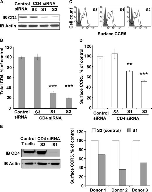 Figure 6. CD4 silencing negatively modulates CCR5 surface expression in THP-1 and primary T cells. (A) Western blot analysis of CD4 from THP-1 cells nucleofected with siRNAs directed against CD4 (S1, S2, and S3) or scrambled control. CD4 was detected using the 1F6 anti–human CD4 antibody. (B) Quantification of CD4 after treatment with indicated siRNAs (n = 3, in triplicate). ***Statistical significance (P < .001) with cells treated with control siRNA. (C) FACS analysis of cell-surface CCR5 using the 1/85a Alexa-fluor 647–conjugated anti-human CCR5. Gray open histograms of S1, S2, and S3-treated cells are compared with the control (scramble siRNA) histogram in black. Gray filled histogram corresponds to isotypic control. (D) The effect of CD4 inhibition on surface CCR5 was measured as follows: the proportion of surface CCR5 was calculated by FACS (by comparing the signal in unpermeabilized and permeabilized cells) in 3 independent experiments, in triplicate (**P < .01; ***P < .001); the values were compared with the proportion of surface CCR5 in THP-1 nucleofected with control scramble siRNA. (E, left panel) Representative Western blot analysis of CD4 from donor-purified, activated (see “Human T lymphocyte preparation and activation”) primary T cells, nucleofected with 2 siRNAs targeting CD4 sequences (S1 and S3); note that, as for THP-1 cells, the S3 siRNA did not reduce CD4 concentration in T cells. (Right panel) Effect of CD4 inhibition on surface CCR5 in T cells from 3 donors. The proportion of surface CCR5 was calculated by FACS, by comparing the signal in unpermeabilzed and permeabilized cells, and values obtained in cells nuleofected with the S1 siRNA were compared with the proportion of surface CCR5 in cells nucleofected with the ineffective S3 siRNA.