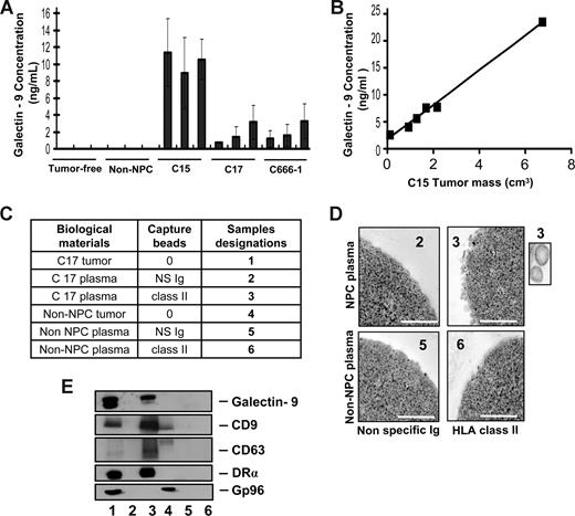 Figure 1. Specific detection of galectin-9–containing exosomes in the plasma of mice xenografted with NPC tumor lines. (A) A significant amount of galectin-9 is detected by ELISA in crude plasma samples from mice xenografted with NPC tumor lines (C15, C17, and C666-1), but not control mice either without xenografts (tumor-free) or xenografted with a non-NPC carcinoma tumor line (non-NPC). Assays were performed in triplicate on 3 plasma samples from 3 different mice. (B) A series of plasma samples were collected from 6 mice carrying C15 tumors of various sizes. Galectin-9 concentration in these samples is proportional to the tumor volume (y = 3.2× + 1.7, R2 = 0.994). (C) Captures with anti–HLA class II beads were performed on low-density vesicles (110-kg pellets) derived from pools of murine plasmas. Samples collected with anti–class II beads are designated nos. 3 and 6 (class II). Control samples collected with beads carrying nonspecific Ig are nos. 2 and 5 (NS Ig). In addition to plasma material, protein extracts from the C17 and the non-NPC xenografted tumors were used as controls for Western blot analyses (nos. 1 and 4). (D) Numerous vesicles approximately 70 nm in diameter are captured by HLA class II beads and visualized by electron microscopy when these procedures are applied to plasma vesicles from C17-xenografted but not control mice. Scale bar represents 500 nm. In the inset, 2 vesicles at original magnification (× 4). (E) Western blot analysis detects galectin-9, CD9, CD63, and the DR-α chain in C17 plasma vesicles. In contrast, none of these molecules are detected when the capture is performed on control mouse plasma. Note that CD63 is much more concentrated in C17 exosomes than in the tumor extract. Gp96, which is a cytoplasmic membrane protein, is detected in the C17 and non-NPC tumor extracts (lanes 1 and 4) but not in C17 exosomes (lane 3).