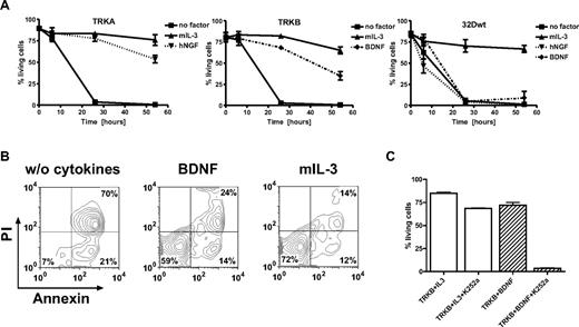 Figure 3. Ligand-dependent resistance to radiation-induced apoptosis. (A) 32D cells expressing TRKA, TRKB, and 32D wild-type cells. Cells were starved for 3 hours and exposed to 5 Gy irradiation. Cells that were annexin-V and propidium iodide (PI) negative were counted as viable cells. Viability was calculated as the percentage of these cells over the total cell population. (B) BDNF prevented apoptosis of 32D cells expressing TRKB almost as efficiently as IL-3. Cells were analyzed by flow cytometry 26 hours after irradiation. Combined annexin-V and PI staining was used to distinguish early apoptotic (annexin-V+/PI−) and later apoptotic cells (annexin-V+/PI+). (C) K252a dramatically inhibited antiapoptotic effects of BDNF-mediated activation of TRKB, whereas only slight inhibition was observed if cells were cultured in the presence of IL-3 alone. Results presented are the mean plus or minus SD of at least 2 independent experiments. NGF/BDNF concentration was 100 ng/mL, murine IL-3 2 ng/mL.