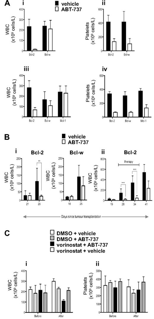 Figure 6. In vivo effect of ABT-737 in mice bearing lymphomas overexpressing Bcl-2, Mcl-1, and Bcl-w. (A) Eμ-myc FLR tumor cells overexpressing Bcl-2, Bcl-w, or Mcl-1 were injected intravenously into C57BL/6 mice, and tumors allowed to develop over 22 to 36 days. When the tumor burden was high (average WBC count > 200 × 109 cells/L), mice were divided into groups (n ≥ 3, except for the Bcl-2 diluent group in iii and iv, where n = 2) matched for both WBC and platelet count, and treated by intraperitoneal injection of (i,ii) 100 mg/kg ABT-737 or vehicle; (iii,iv) 75 mg/kg ABT-737 or vehicle. Peripheral blood was collected 12 hours after treatment, and WBC and platelet numbers were determined. The Bcl-2– and Bcl-w–overexpressing tumors in i and ii were derived from the same pool (10) of Eμ-myc fetal liver cells. The Bcl-2– and Mcl-1–overexpressing tumors in iii and iv were also derived from the same pool (12) of Eμ-myc fetal liver cells. The Bcl-w–overexpressing FLR lymphomas tested in iii and iv were from another pool (11) of Eμ-myc fetal liver cells. Mean and standard deviation is shown. (Bi) Eμ-myc FLR tumor cells overexpressing Bcl-2 or Bcl-w (derived from Eμ-myc fetal liver pool 10) were injected intravenously into C57BL/6 mice, and tumors allowed to develop over time until WBC counts were greater than 50 × 109cells/L. ABT-737 (100 mg/kg) or vehicle was administered intraperitoneally daily, and WBC numbers were counted after 7 days of therapy. **P < .01. (ii) Eμ-myc FLR tumor cells overexpressing Bcl-2 (derived from Eμ-myc fetal liver pool 2) were injected intravenously into C57BL/6 mice, and tumors allowed to develop over 19 days until the mice became leukemic (WBC count > 13 × 106 cells/mL). From days 20 through 37, mice were injected intraperitoneally with ABT-737 (100 mg/kg) or vehicle daily and WBC counts were recorded over 2 weeks after therapy. ***P < .001. (C) Eμ-myc FLR tumor cells overexpressing Bcl-2 (derived from Eμ-myc fetal liver pool 12) were injected intravenously into C57BL/6 mice, and tumors allowed to develop over time until WBC counts were greater than 200 × 109 cells/L. Mice were injected intraperitoneally with the diluent for vorinostat (DMSO; n = 3) and the diluent for ABT-737 (vehicle; n = 3), ABT-737 (25 mg/kg) and DMSO (n = 3), vorinostat (200 mg/kg) and vehicle (n = 3), or vorinostat (200 mg/kg) and ABT-737 (25 mg/kg, n = 4). Peripheral blood was collected 12 hours before and 12 hours after treatment, and WBC and platelet numbers were determined. Mean and SD are shown.