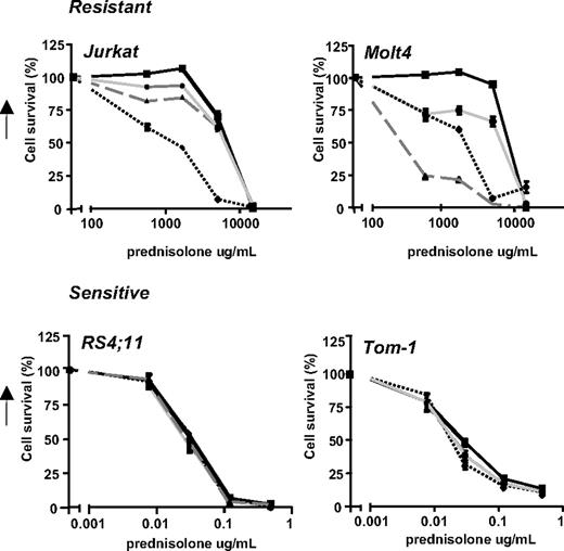 Figure 5. Effect of glycolytic inhibitors on prednisolone-induced cytotoxicity in prednisolone–resistant and prednisolone-sensitive cell lines. Cell survival curves representing in vitro prednisolone responsiveness, as assessed by the MTT assay in 2 prednisolone-resistant (top panel) and 2 prednisolone-sensitive ALL cell lines (bottom panel) after treatment with glycolytic inhibitors. Cells were treated with 1 mM (Jurkat, Molt4) or 0.5 mM 2-DG (▲), 62.5 μM LND (), 30 μM 3-BrPA (●) in combination with prednisolone, as indicated in the figure. Cells treated only with prednisolone served as controls (■). To visualize synergy, the survival rate of prednisolone in combination with an inhibitor was corrected for the toxicity caused by the inhibitor itself (set to 100%). A representative experiment is shown; data are presented as means plus or minus SD (n = 3).