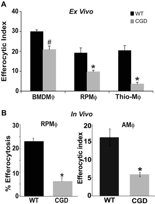 Figure 1. Efferocytosis by X-CGD MØs is impaired ex vivo and in vivo. (A) BMDMØs were cultured for 6 days; RPMØs and thioelicited MØs were plated for 24 hours and efferocytosis assays performed as described in “Efferocytosis assay.” Data represent means plus or minus SEM; N = 5 experiments. (B) In vivo efferocytosis assays in the peritoneum and lung were performed as in “Efferocytosis assay.” Data represent means plus or minus SEM; N = 5 experiments. #P ≤ .05; *P ≤ .005 compared with respective WT.