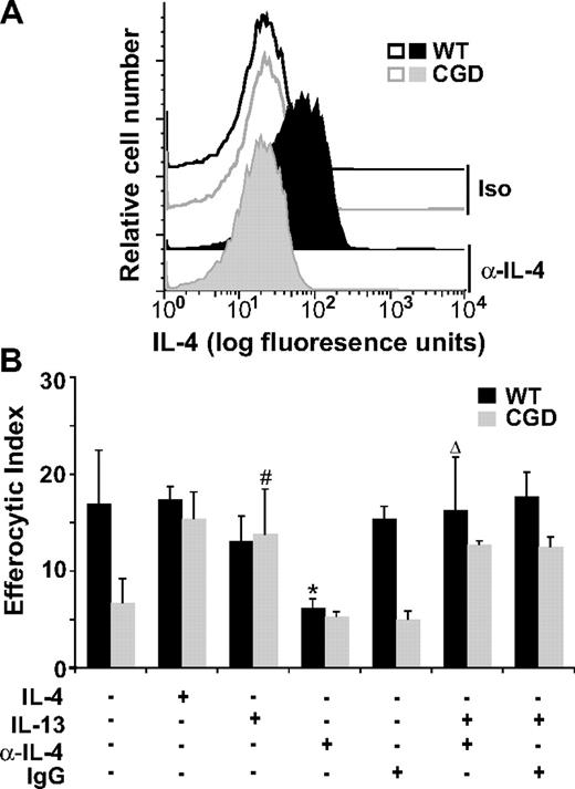 Figure 3. Intracellular IL-4 is reduced in X-CGD RPMØs and is required for efficient efferocytosis. (A) Freshly isolated F4/80-positive RPMØs were analyzed for intracellular IL-4 (compared with isotype control) by flow cytometry; histograms are representative of N = 8. (B) RPMØs were plated for 24 hours and treated with 10 ng/mL IL-4 or IL-13 and/or 500 ng/mL neutralizing antibody to IL-4 or isotype control antibody for 20 hours before performing efferocytosis assays. Data represent means plus or minus SEM; N = 5 experiments. *P ≤ .005 compared with untreated WT; #P ≤ .005 compared with untreated X-CGD; and Δ, P value less than or equal to .005 compared with α-IL-4–treated WT. Significant differences demonstrated in Figures 1 and 2 were maintained but not designated for clarity.