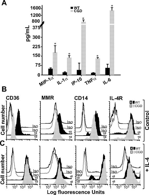 Figure 4. Unstimulated X-CGD RPMØs produce proinflammatory cytokines and lack alternative activation markers until treated with IL-4. (A) RPMØs were plated for 24 hours, medium was changed, and 6 hours later cytokines were measured in culture supernatants as in “Cytokines.” Data represent means plus or minus SEM; N = 3 experiments. * indicates P value less than or equal to .005 compared with WT. RPMØs were plated for 2 hours and then treated either with medium alone (B) or 10 ng/mL IL-4 for 20 hours (C). Cells were analyzed by flow cytometry for alternative activation markers (CD36, MMR, and CD14) and IL-4R; histograms are representative of N = 3 experiments.