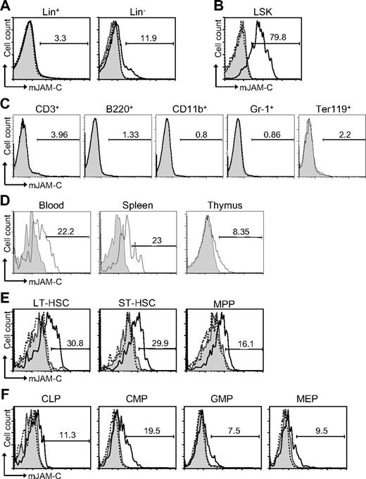 Figure 1. Expression of JAM-C on HSCs. (A) BM cells from BL6 mice were stained with anti-lineage cocktail (anti-CD3ϵ, anti-B220, anti-CD11b, anti–Gr-1, and anti-Ter119) and the lineage-positive (Lin+) and lineage-negative (Lin−) populations were analyzed for their JAM-C expression. (B) JAM-C expression on HSCs in the Lin− population defined by expression of Sca-1 and c-Kit (LSK). (C) BM cells were individually stained with lineage markers (anti-CD3ϵ, anti-B220, anti-CD11b, anti–Gr-1, and anti-Ter119) and analyzed for their expression of JAM-C. (D) Blood, thymus, and spleen cells were stained for JAM-C expression on LSK cells. (E) Staining of the different stem cell populations contained within the LSK gate with anti–JAM-C: LT-HSCs (Lin−, Sca-1+, c-Kit+, Thy1.1+, and Flt-3−), ST-HSCs (Lin−, Sca-1+, c-Kit+, Thy1.1+, and Flt-3+), and MPPs (Lin−, Sca-1+, c-Kit+, Thy1.1−, and Flt-3−). (F) Expression of JAM-C on lymphoid progenitors (CLPs: Lin−, Sca-1int, c-Kitint, and Il7Rα+), and myeloid progenitors (CMPs: Lin−, Sca-1−, Il7Rα−, c-Kit+, CD34+, and FcγRII/III−; GMPs: Lin−, Sca-1−, Il7Rα−, c-Kit+, CD34+, and FcγRII/III+; MEPs: Lin−, Sca-1−, Il7Rα−, c-Kit+, CD34−, FcγRII/III−). Shown are representative histograms with anti–JAM-C staining (black histogram line), rabbit serum IgG (filled gray histogram), or anti–JAM-C together with 10 times excess of blocking murine JAM-C–Fc (hatched histogram line). The numbers above the brackets indicate the percentage of cells expressing JAM-C.