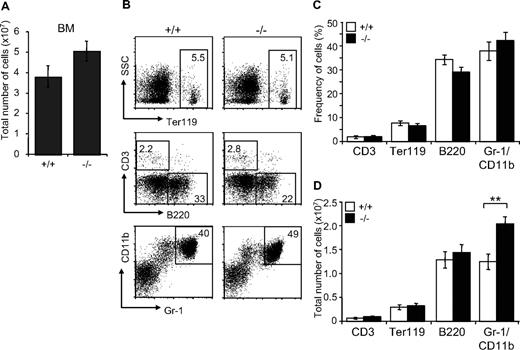 Figure 4. Characterization of mature hematopoietic cell populations in Jam-C−/− mice. (A) Total number of mononuclear cells in BM (femur and tibia of both hind legs) of wild-type and homozygous mice (n = 7). (B,C) Frequency of hematopoietic lineages in BM of wild-type and homozygous mice assessed by flow cytometry with antibodies against Ter119 (erythroid lineage), Gr-1 and CD11b (myeloid lineage), and B220 (B-cell lineage). (D) Enumeration of erythroid cells, B cells, and granulocytes in the BM of wild-type and homozygous mice. Shown are representative FACS profiles; the numbers on the plots indicate the frequency of cells in the indicated regions. Bar graphs indicate mean plus or minus SE. Significances are shown on the graph. **P ≤ .01.