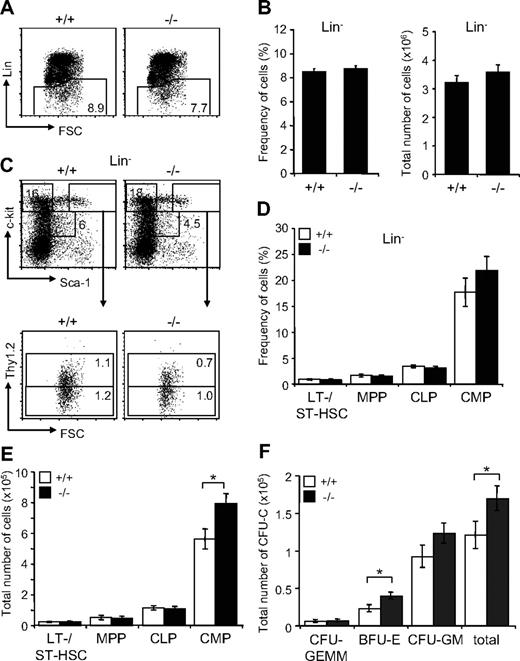 Figure 5. Effects of Jam-C deletion on hematopoietic progenitor numbers and activities. Assessment of the frequency (A,B) and total number (B) of lineage-negative cells in the BM of wild-type and homozygous (n = 7) mice. (C) Flow cytometric analysis of LT- and ST-HSCs (Lin−, Sca-1+, c-Kit+Thy1.2+) and progenitors (MPPs: Lin−, Sca-1+, c-Kit+Thy1.2−; CMPs: Lin−, Sca-1−, c-Kit+; CLPs: Lin−, Sca-1int, c-Kitint) contained within the Lin− population. Frequency (D) and total number (E) of stem cells and progenitors in the BM of wild-type and homozygous mice. Shown are representative FACS profiles; the numbers on the plots indicate the frequency of cells in the indicated regions. Bar graphs indicate mean plus or minus SE. (F) Colony-forming ability of BM cells derived from wild-type (n = 5) and homozygous (n = 6) mice cultured in methylcellulose containing mSCF, mIL-3, mIL-6, and hEPO. After 10 days in culture, colonies were assigned scores for the presence of CFU-GEMM, BFU-E, and CFU-GM. Data represent mean plus or minus SE of duplicate plates. Significances are shown on the graph. *P ≤ .05.