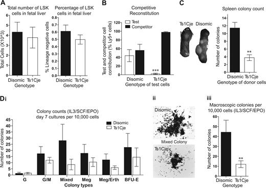 Figure 1. Fetal liver abnormalities are observed in Ts1Cje mice. (A) The proportion of HSCs in the Ts1Cje FL is slightly reduced. n = 5 disomic and 4 Ts1Cje embryos. (B) Ts1Cje FL HSCs cannot compete with disomic competitor cells, showing less than 2% contribution in the peripheral blood. n = 2 disomic and 6 Ts1Cje embryos, donor cells from each embryo injected into 2 recipient mice each. (C) CFU-S day 12 colonies. Ts1Cje FL-derived HSCs show a reduced capacity to form spleen colonies in recipient mice. Recipient mice receiving Ts1Cje FL donor cells had smaller spleens and fewer visible colonies than those mice receiving disomic FL donor cells. Cells from 3 donors of each genotype were injected into 3 recipients each. (D) Ts1Cje FL progenitor cells have an impaired ability to form colonies under IL-3/SCF/EPO stimulation: (i) Ts1Cje cultures had reduced numbers of each type of colony (G) granulocyte, (GM) granulocyte/macrophage, (Mixed) mix of different cell types, (Meg) megakaryocytic, (Meg/Eryth) megakaryocytic, and (BFU-E) erythroid; (ii) colonies formed in Ts1Cje cultures were significantly smaller than disomic cultures (original magnification ×20); (iii) fewer colonies were visible macroscopically (typically defined by the presence of > 1000 cells). n = 3 disomic and 4 Ts1Cje embryos. **P < .01; ***P < .001. Error bars represent SEM.