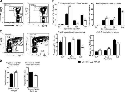 Figure 5. Ts1Cje mice display erythroid abnormalities. (A) Flow cytometric analysis of Ter119 and CD71 cell-surface markers allows identification of different erythroblast populations. Regions I and II, proerythroblasts and early basophilic; regions III and IV, late basophilic and chromatophilic erythroblasts. (B) Erythrocyte maturation was perturbed in the Ts1Cje 3-week-old BM and spleen with an increase in the proportion of early erythroblasts and a concomitant decrease in the proportion of late erythroblasts n = 3 mice of each genotype for BM and n = 4 of each genotype for spleen. (C) Further stratifying the Ter119+ population into Ery.A, Ery.B, and Ery.C populations demonstrates a significant increase in the proportion of Ery.A and Ery.B cells and a concomitant decrease in the proportion of Ery.C cells in both the Ts1Cje BM and spleen. n = 3 mice of each genotype for BM and n = 4 of each genotype for spleen. (D) The overall proportion of Ter119+ cells in the Ts1Cje BM is decreased, whereas it is increased in the spleen. n = 3 mice of each genotype for BM and n = 4 of each genotype for spleen. *P < .05; **P < .01; ***P < .001. Error bars represent SEM.