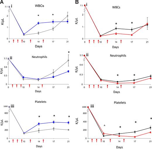 Figure 2. Administration of VE-cadherin antibody abrogates the effect of EPC infusions on hematopoietic recovery. PB WBCs, neutrophil counts, and platelet counts were measured over time in BALB/c mice that were irradiated with 550 cGy TBI and then treated systemically with either EPCs alone, EPCs plus VE-cadherin antibody, VE-cadherin antibody alone, or PBS as described in “Methods.” VE-cadherin treatments are represented by red arrows. (A) Comparison in WBC (Ai), neutrophils (Aii), and platelet count (Aiii) recovery in mice treated with EPCs alone versus mice treated with EPCs plus VE-cadherin treatments. Mice that were treated with EPCs plus VE-cadherin antibody (gray line) demonstrated significantly delayed recovery of WBCs and platelets compared with mice treated with EPCs alone (blue line). *P < .001 and P = .006 for differences in WBCs at days 14 and 17 (Ai). Platelet recovery was significantly delayed in mice treated with EPCs plus VE-cadherin versus mice treated with EPCs alone (Aiii). *P = .01, P = .002, and P < .001 for differences in platelet counts at days 14, 17, and 21. (B) Treatment with VE-cadherin antibody alone (red line) delayed WBC, neutrophil, and platelet recovery in irradiated mice compared with irradiated control mice (black line). *P = .003 and P = .002 for differences in WBCs at days 14 and 17 (Bi WBCs). *P = .002 and P = .007 for differences in neutrophil counts between VE-cadherin antibody–treated mice and controls at days 14 and 17 (Bii Neutrophils). *P = .03, P < .001, and P = .01 for differences in platelet counts between VE-cadherin antibody–treated mice and controls at days 14, 17, and 21. ∧P = .01 for increase in platelet count in VE-cadherin antibody–treated mice versus controls at day 10 (Biii Platelets). Data points represent the means plus or minus SEM of n = 10 to 15 mice per time point.