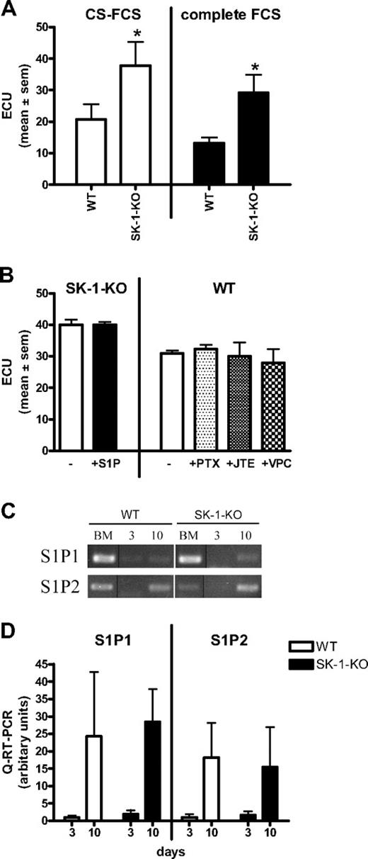 Figure 3. ECU formation is extracellular S1P and receptor independent. (A) BM cells derived from WT and SK-1-KO mice were cultured in CS-FCS or complete FCS and ECU numbers determined 7 days after culture. Results show the mean plus or minus SEM for 5 mice per group. *P < .05, compared with WT, 2-tailed paired t test. (B) ECU were counted 4 days after culture in CS-FCS–containing media with administration of S1P (1 μM), pertussis toxin (50 ng/mL), JTE-013 (1 μM), or VPC23019 (10 μM) at initial seeding and every 48 hours thereafter. Results are the mean plus or minus SEM of 3 mice. (C) Semiquantitative RT-PCR was determined for S1P1 and S1P2 mRNA expression in BM cells cultured under EPC differentiating conditions for 0 (BM), 3, and 10 days and represents 1 of 5 separate experiments; vertical line(s) have been inserted to indicate repositioned gel lanes. (D) Quantitative RT-PCR was used to determine expression of S1P1 and S1P2 in BM cells cultured for 3 and 10 days. Results are the mean plus or minus SEM of receptor expression normalized to the PPIA gene and shown as a ratio over day 3 WT, for 5 separate mice.