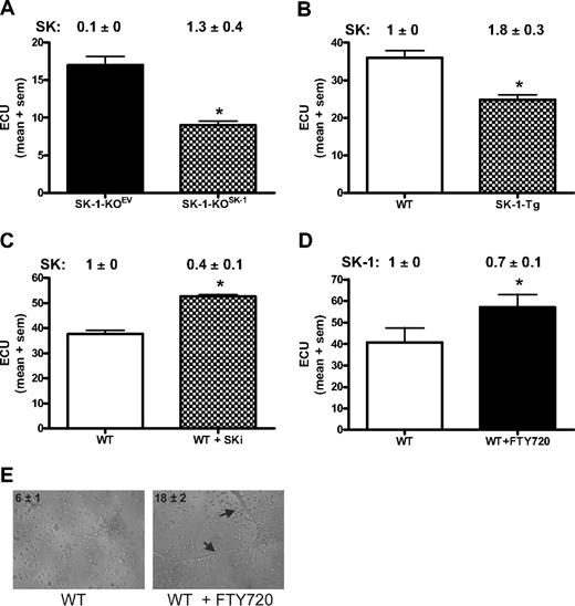 Figure 5. Manipulation of SK-1 levels alters ECU formation. ECU numbers were determined from: (A) BM cells from SK-1-KO mice infected with adenovirus containing either control EV (SK-1-KOEV) or SK-1 (SK-1-KOSK); (B) WT and SK-1-Tg BM cells; (C) WT BM cells cultured with the SK inhibitor SKi (5 μM) administered at initial seeding and every 48 hours thereafter; and (D) WT and SK-1-KO BM cells cultured without (□ and with FTY720 (100 nM, ■) administered at initial seeding and every 48 hours thereafter. All experiments show the mean plus or minus SEM of 4-day cultured ECU from at least 3 separate experiments. SK-1 levels shown numerically leading the figure (activity for panels A-C and protein for panel D) identified successful SK-1 manipulation. Results are expressed as U/mg protein normalized to WT BM cells at day 4 of culture plus or minus SEM. *P < .05, compared with controls using a 2-tailed, paired t test. (E) Six-day cultured WT BM cells plus or minus FTY720 (100 nM) administered at initial seeding and every 48 hours thereafter, seeded into Matrigel. Images show tube formation; numbers reflect mean plus or minus SEM tubes per experiment; identify tubes formed at 30 hours. Results are representatives of 3 separate experiments.