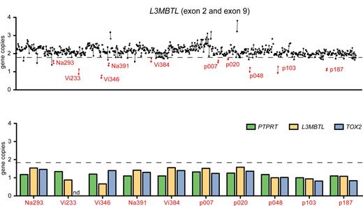 Figure 1. Screening for del20q by real-time PCR. (A) The copy number of the L3MBTL gene was determined in DNA from purified peripheral blood granulocytes using 2 SYBR real-time PCR assays with primer pairs located in L3MBTL exon 2 (quadrangles) and exon 9 (circles). Samples with gene copy values less than a threshold of 1.8 in both assays are marked in red and identified by unique patient numbers. (B) Patients with decreased L3MBTL gene copy number were further examined with real-time PCR assays for the neighboring genes PTPRT and TOX2. The decreased copy number was confirmed in all cases. nd indicates not determined.