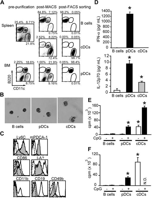 Figure 1. Isolation of pDCs and cDCs. B cells (CD11c− B220+), pDCs (CD11cint B220+), and cDCs (CD11chigh B220−) were isolated from the spleen or BM of FL-treated mice. (A) Two-dimensional counter plots of B220 and CD11c staining. Percentages of cells are shown enclosed in circles. (B) Cell morphology stained with May-Giemsa (magnification ×400). (C) Immunophenotyping. Filled histograms; pDCs, broken-lined open histograms; pDCs stained with isotype controls, solid-lined open histograms for Ly6C, mPDCA-1, CD86, I-Ab, and CD11b; cDCs, those for CD19 and CD49b; B cells and enriched CD49b+ cells as positive controls, respectively. (D) Production of IFN-α (top) and IL-12p70 (bottom) after incubation of cells with CpG 2216 for 16 hours (mean ± SD). (E,F) Aliquots of 2 × 105 BALB/c CD4+ T cells were cultured with 104 cells from each APC subset isolated from FL-treated (E) and FL-untreated mice (F), with or without 1 μM CpG 1668, and their proliferation 3 days later was shown as mean plus or minus SD. N.D. indicates not done. Data are representative of at least 2 similar experiments. *P < .05 compared with B cells.