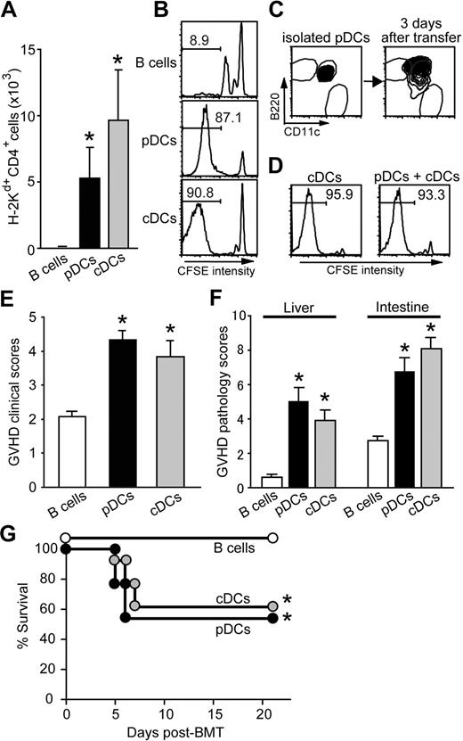 Figure 2. Host pDCs or cDCs alone are sufficient to stimulate alloreactive CD4+ T cells and induce GVHD. (A,B) Totals of 2 × 106 BALB/c (H-2Kd+) CD4+ T cells were transferred to irradiated H2-Ab1−/− mice preinjected with 2 × 106 WT B cells, pDCs, or cDCs. Expansion of H-2Kd+ donor CD4+ T cells in the mLNs (mean ± SD;A) and cell division of CFSE-labeled donor CD4+ T cells in the spleens (B). (C) pDCs were injected to irradiated H2-Ab1−/− mice. Expression levels of B220 and CD11c on I-Ab+ cells were analyzed 3 days after transfer and compared with those before transfer. (D) Aliquots of 2 × 106 CFSE-labeled BALB/c CD4+ T cells were transferred to irradiated H2-Ab1−/− mice preinjected with 106 pDCs plus 106 cDCs or 2 × 106 cDCs from WT B6 mice. Cell divisions of donor CD4+ T cells in the spleens on day 7 are shown. (E,F) BALB/c CD4+ T cells were transferred as above and GVHD clinical scores (E), and pathology scores in the liver and intestine (F) on day 6 are shown as mean plus or minus SEM. (G) Lethally irradiated H2-Ab1−/− mice preinjected with pDCs, cDCs, or B cells were injected with 2 × 106 CD4+ T cells and 5 × 106 TCD-BM from BALB/c mice. Survival after BMT is shown. Results from 2 similar experiments were combined. *P < .05 compared with B cells.