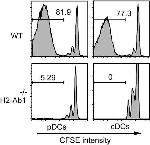 Figure 5. Cognate interaction between pDCs and T cells is required for T-cell activation. CFSE-labeled BALB/c CD4+ T cells were transferred to irradiated H2-Ab1−/− mice preinjected with 2 × 106 pDCs and cDCs isolated from WT or H2-Ab1−/− B6 mice. Cell divisions of H-2Kd+ donor CD4+ T cells in the spleens 6 days after transfer are shown. Data are representative of 2 similar experiments.