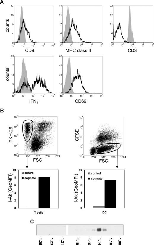 Figure 1. Transfer of DC proteins to T cells and bystander DCs during cognate T cell–DC interactions. (A) DCs were pulsed for 2 hours with 5 μM p53p before coculture with T cells. Pulsed DCs (5 × 106) were cultured for 24 hours with CFSE-labeled p53 T cells (107). Cells were stained for MHC class II, CD9, CD3, CD69, or IFN-γ and analyzed by flow cytometry. Histograms indicate staining of gated CFSE-positive T cells derived from either T-cell cultures (solid histograms) or from cognate cocultures with DCs (open histograms) and were corrected for nonspecific staining as determined by isotype control antibodies. Reduction of CD3 and up-regulation of CD69 expression and IFN-γ production are indicative of T-cell activation. (B) Nonlabeled nontransduced (bystander) DCs (8 × 105) were cultured for 24 hours in the presence of CFSE-labeled DCs transduced with I-Akβ (8 × 105), PKH26-labeled p53 T cells (2 × 106), and 5 μM p53p in 4 mL of culture medium. Cocultured p53 T cells (left) and CFSE-negative bystander DCs (right) were gated on FL2 or FL1 and FSC levels as indicated (top panels), to exclude T-cell–DC clusters. The indicated gated populations were analyzed for I-Akβ (OX6) staining (bottom panels). Indicated are geometric mean fluorescence intensity (GeoMFI) values of cells derived from the cognate 3-cell culture system (cognate) or control DCs and T-cell cultures. The data shown are representative for 3 independent experiments. (C) Exosomes produced during 24-hour cognate DC–T-cell cocultures were collected by centrifuging the 10 000g supernatant for 1 hour at 100 000g, resuspended in 2.5 M sucrose, 20 mM Tris-HCl, pH 7.2, and floated by centrifugation to equilibrium into a 2.0- to 0.4-M sucrose gradient.19 The presence of MHC class II-β in gradient fractions was analyzed by Western blotting using rabbit polyclonal anti–MHCII-β obtained from Dr N. Barois (University of Oslo, Oslo, Norway). The density of the gradient fractions is indicated at the bottom of the blot.