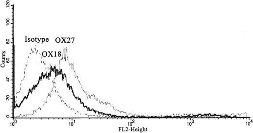 Figure 3. Rat MHC class I Abs bind to the rat PMNs. Rat PMNs were isolated, incubated with PE-labeled isotype, OX18, or OX27, and fixed in paraformaldehyde. PMNs incubated with the OX18 and OX27 antibodies bound to the PMNs, as demonstrated by the fluorescent shift compared with the labeled isotype controls via flow cytometry (n = 3).