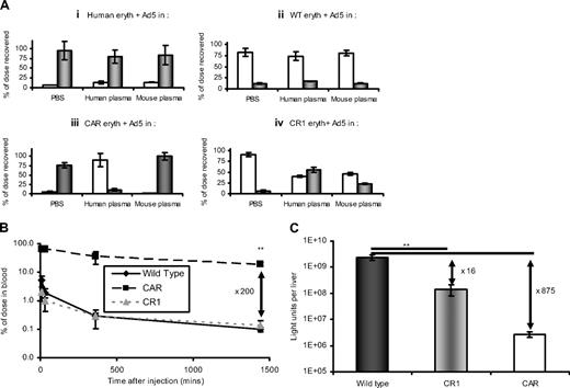 Figure 3. Erythrocyte binding, circulation kinetics, and infection profiles are altered in CAR and CR1 transgenic mice. (A) Erythrocytes were isolated from human donors (i), WT mice (ii), CAR mice (iii), or CR1 mice (iv), and after washing were resuspended in PBS, human plasma, or mouse plasma. Ad5 was added and after incubation, liquid (□) and erythrocyte (■) fractions were separated and assayed for Ad5 genome content; N = 4, SEM shown. (B) The circulation kinetics of Ad5 are altered in CAR but not CR1 transgenic mice. Ad5 was injected intravenously into WT, CAR, or CR1 mice and blood sampled at 10, 30, 360, or 1440 minutes. Samples were assayed for Ad5 genome content by quantitative PCR; N = 3, SD shown. **P < .005. (C) The livers from the mice injected in panel B were harvested at 24 hours and after homogenization were assayed for reporter gene expression; N = 3, SD shown. **P < .005.