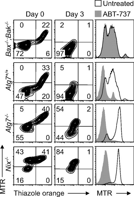 Figure 5. ABT-737 and NIX differ in their requirement for BAX or BAK. (Left panels) Flow cytometry of reticulocyte-enriched blood from phlebotomized Bax−/−;Bak−/−, Atg7+/+, Atg7−/−, and Nix−/− mice cultured for 3 days and doubly stained with MTR and TO. Genotypes are indicated on the left. (Right panels) Flow cytometry of the same blood samples, cultured for 1 day in the presence (shaded area) or absence (black line) of ABT-737, and stained with MTR.
