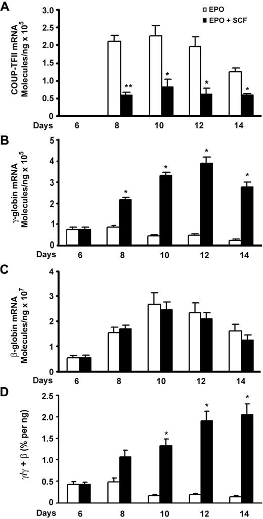 Figure 1. SCF-suppressed COUP-TFII expression inversely correlates with increase in γ-globin during erythroid differentiation. CD34+ cells cultured in EPO-containing medium for 6 days were stimulated with SCF (50 ng/mL) from day 6 to day 14, and RNA extracted from cells harvested on days 6, 8, 10, 12, and 14 was analyzed by quantitative RT-PCR. (A) Expression levels of COUP-TFII mRNA in EPO versus EPO plus SCF. (B) Expression levels of γ-globin mRNA in EPO versus EPO plus SCF. (C) Expression levels of β-globin mRNA in EPO versus EPO plus SCF. (D) The ratio of γ/(γ + β) globin percentages are shown in EPO versus EPO plus SCF. Results are shown as mean ± SD from 3 independent donors that were analyzed in separate experiments. *P < .05 versus SCF-stimulated cells. **P < .01 versus SCF-stimulated cells.