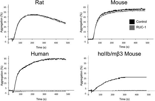 Figure 2. RUC-1 inhibits aggregation of human platelets and hαIIb/mβ3 murine platelets, but not WT mouse or rat platelets. PRP was isolated from whole blood of WT Sprague-Dawley rats, WT C57Bl/6 mice, healthy human volunteers, or hybrid hαIIb/mβ3 mice, and was treated with either vehicle control or 100 μM RUC-1 for 5 minutes. Aggregation was initiated with ADP and light transmission was monitored through aggregometer cuvettes for 8 minutes. One representative plot from each animal is shown.