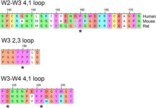 Figure 6. Alignment of human, mouse, and rat αIIb sequences in the loops that contribute to the αIIb RGD ligand binding pocket. * indicates the 3 aromatic residues that line the pocket and the conserved D224 that interacts with the positively charged regions of the αIIbβ3 antagonists studied by X-ray crystallography.2 The nomenclature indicates the β-propeller blade number, and the loop designation identifies the β-sheets within the blades that are connected. The term loop is used broadly, since an α-helical region exists within the W2-W3 4,1 “loop.”