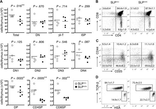 Figure 2. Thymocyte development in ΔSAM–SLP-76 knockin mice. (A) Total numbers of different thymocyte populations from 4-week-old SLP-76m/+ and SLP-76m/m littermates. Five mice for each genotype were analyzed. Statistical analysis was performed using 2-tailed Student t test. *P < .05; **P < .01. (B-D) Thymocytes from 4-week-old SLP-76m/+ and SLP-76m/m littermates (5 mice for each genotype) were analyzed by flow cytometry. FACS plots shown are from 1 representative of each genotype. (B) Surface expression of CD4 versus CD8 on total thymocytes. (C) Expression of CD25 versus CD44 on CD4−CD8− DN thymocytes. (D) Expression of TCR-β versus HSA on CD4−CD8+ thymocytes. The numbers in each panel represent the average percentages of the gated populations.
