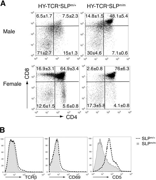 Figure 3. Defective positive and negative thymic selections in ΔSAM–SLP-76 knockin mice. (A) ΔSAM–SLP-76 knockin mice were crossed with HY-TCR transgenic mice. HY-TCR+ gated thymocytes from 4-week-old male (top) and female (bottom) HY-TCR+SLP-76m/+ and HY-TCR+SLP-76m/m littermates were analyzed for their surface expression of CD4 and CD8. The numbers represent the average percentages of the gated populations. (B) Surface expression of TCR-β, CD69, and CD5 on DP thymocytes from 4-week-old SLP-76m/+ and SLP-76m/m littermates.