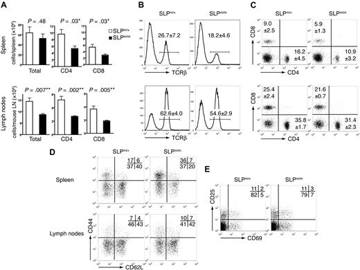Figure 4. Peripheral T cells in ΔSAM–SLP-76 knockin mice. Splenocytes and peripheral lymph node cells from 5-week-old SLP-76m/+ and SLP-76m/m littermates were analyzed by flow cytometry. (A) Total numbers of splenocytes, lymph node cells, and CD4+ and CD8+ T cells. Five mice for each genotype were analyzed. Statistical analysis was performed using 2-tailed Student t test. *P < .05; **P < .01. (B) The percentages of TCR-β+ cells in spleens and lymph nodes. (C) Expression of CD4 versus CD8 on splenocytes and lymph node cells. (D) Expression of CD44 versus CD62L on CD4+ gated cells in spleens and lymph nodes. (E) Expression of CD25 versus CD69 on CD4+ gated cells in spleens. FACS plots shown are from 1 representative of 5 mice analyzed. The numbers represent the average percentages of the gated populations.