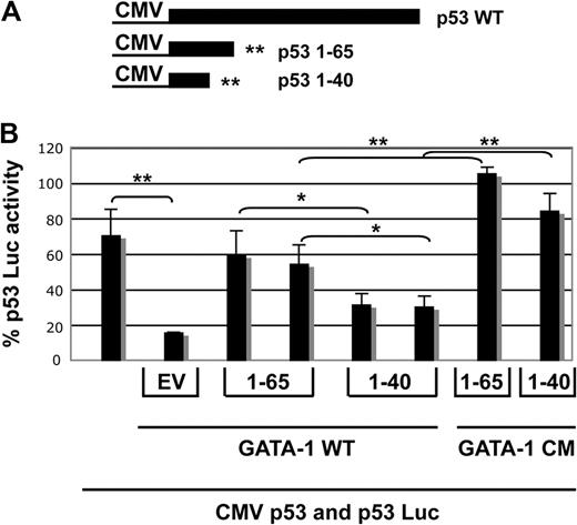 Figure 7. p531-65 can compete with wild-type p53 for binding to GATA-1 and reduce the inhibition of p53. (A) A schematic of constructs made by inserting translation termination signals in the CMV p53 expression vector to generate peptides 1-65 and 1-40 is shown. (B) A transfection assay in which CMV Renilla luciferase, p53 Luc reporter plasmid, and CMV p53 were present in all samples and expression plasmids for mGATA-1 were added to samples 2-6 along with 6 μg of empty vector (bar 2), 5 or 6 μg of CMV p53 1-65 (bars 3 and 4), or CMVp53 1-40 (bars 5 and 6), as indicated. For the last 2 samples, GATA-1CM, a mutant that does not interfere with transactivation by p53, was used instead of wild-type GATA-1, and 6 μg of CMV 1-65 (bar 7) or 6 μg of CMV 1-40 (bar 8) was added. Normalization is as described in the Figure 6 legend with the average of 5 μg of GATA-1 CM 65 and 40 samples set to 100%. Results are the average of 3 experiments, and error bars indicate the standard deviation. Means of equal weights of DNA were compared by Student t test, as indicated; *P < .05 and ** P < .005.