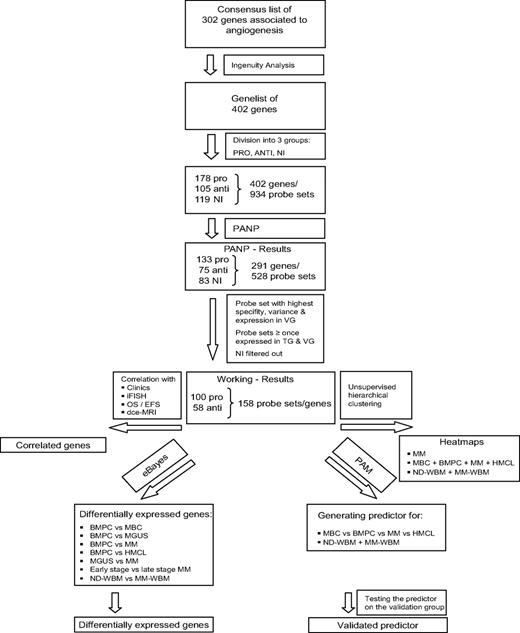 Figure 1. Genes and probe sets included in the respective parts of the analysis. Shown is our strategy for selecting angiogenesis-related genes. On the initial set of 402 genes after review of Medline and the Cytokines & Cells Online Pathfinder Encyclopaedia as well as Ingenuity Pathway Analysis, PANP-derived judgment of expression (“presence” vs “absence”) was assessed, leading to 291 genes being present at least once. Of these, 83 genes with no exploratively attributable information (NI) on proangiogenic or antiangiogenic activity were excluded. For further analyses, the 100 proangiogenic and 58 antiangiogenic genes present at least once in the training (TG) and validation group (VG) were retained.