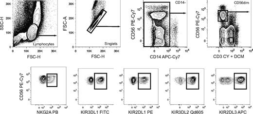 Figure 1. Boolean gating of NK cell subsets expressing discrete combinations of inhibitory KIRs and NKG2A. Gating scheme to identify subsets of CD56dim NK cells expressing single inhibitory KIR and combinations thereof with or without coexpression of NKG2A. Doublet cells and CD14+ cells were excluded based on an FSC-area versus FSC–height gate and CD14 expression, respectively. Gates were set on live CD3− cells as determined by staining with a dead cell marker (DCM) and anti-CD3.