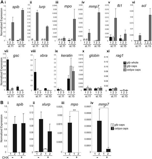 Figure 5. cebpa induces blood markers in animal caps. (A) Injection of cebpa mRNA in the animal pole at one-cell stage induced precocious expression of all blood markers, with the exception of globin and rag1, in X laevis animal caps. eGFP mRNA was injected as control. Animal caps were excised at stage 8 and cultured in 0.2% bovine serum albumin, 75% NAM, until their sibling whole embryos reached stage 11 or 15. At stage 11, spib (i), lurp (ii), and fli1 (v) were strongly up-regulated, whereas mpo (iii), mmp7 (iv), and scl (vi) were strongly up-regulated at stage 15. In contrast, globin (x), rag1 (xi), and several nonhematopoietic markers, including gsc (vii), xbra (viii), and keratin (ix), were not induced. Ø: undetectable expression level. (B) The early induced genes, spib and lurp, were activated in the presence of CHX (i-ii), while the late induced genes mpo and mmp7 were not (iii-iv). Expression levels were normalized relative to rpl8. Error bars represent SEM of 3 independent experiments. Statistical ANOVA was done using the SPSS software package. Conditions that showed a significant difference in expression level comparing the cebpa-overexpressing animal caps with and without CHX are labeled *P < .01; **P < .001.